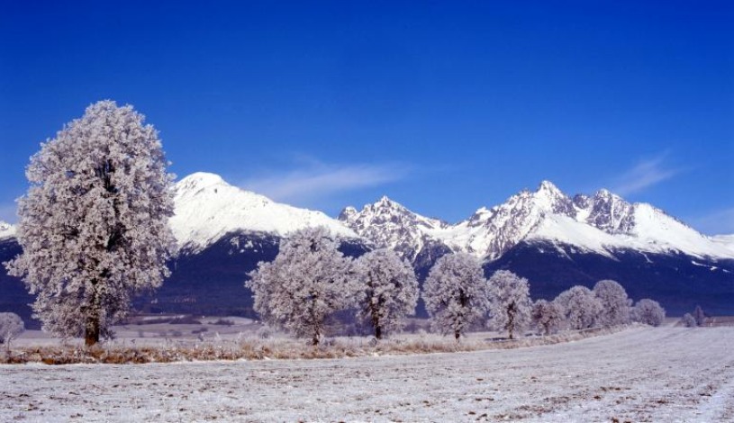 hotel PALACE Vysoké Tatry